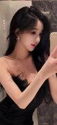 斯特凡诺·阿科尔西